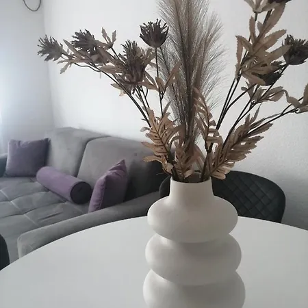 Sunlight Daire Vrnjačka Banja