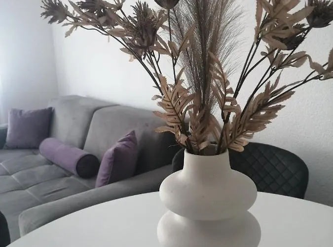 Sunlight Apartmán Vrnjačka Banja